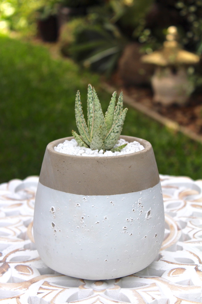 Cement White Pot… 14cm – Rosette Succulent Design